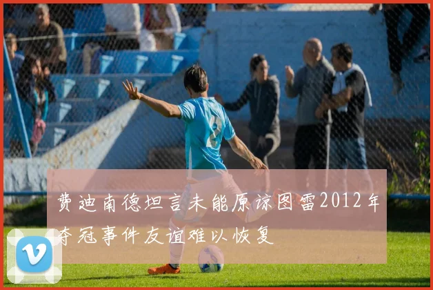 费迪南德坦言未能原谅图雷2012年夺冠事件友谊难以恢复